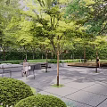 Residential Landscape Design With Lush Trees Benches and Relaxing Paved Area