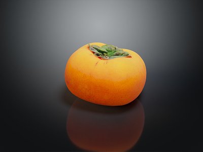 Modern Persimmon Fruit Sketches 3d model