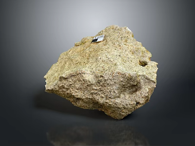 Natural Wood Textured Stone with Rough Surface and Small Tagged Label 3d model