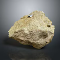 Natural Wood Textured Stone with Rough Surface and Small Tagged Label