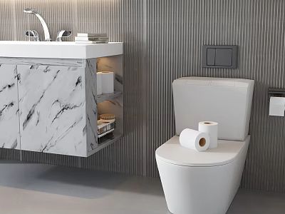 Modern Bathroom Set with Marble Floating Vanity Toilet and Toilet Paper Rolls 3d model