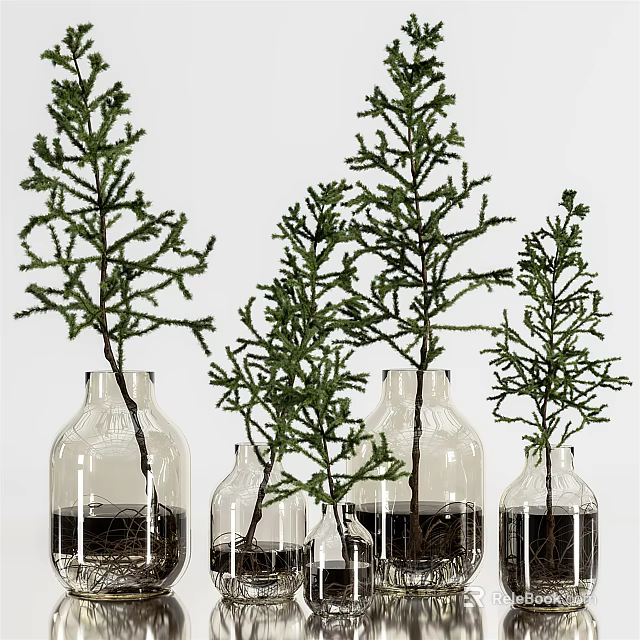 Clear Glass Vases With Green Plant Branches And Roots Submerged In Water 3d model 