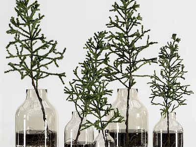 Clear Glass Vases With Green Plant Branches And Roots Submerged In Water 3d model