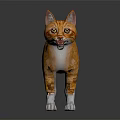 Orange and White Cat 3D Model Standing on Black Surface with Reflection