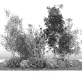 Trees With Shrubs Flowers And Grass In Outdoor Area With Textured Wall And Slate Floor