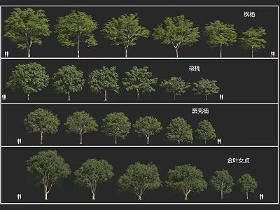 Various Arbor Tree Designs With Thin Line Black Gray Tone And Golden Leaf Material 3d model