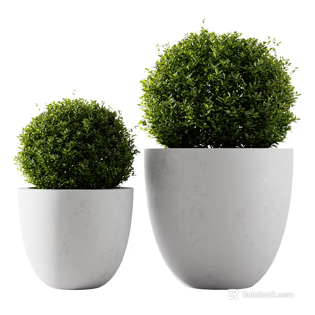 Large and Small Green Topiary Bushes in White Planters for Outdoor Decor 3d model 