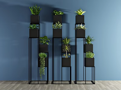 Potted Green Plants On Black Metal Stands Against Blue Wall With Light Wooden Floor 3d model