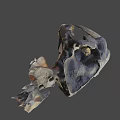 Ancient Animal Skull Fossil With Large Fangs And Detailed Bone Structure