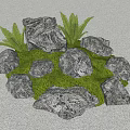 Natural Stone And Wood Garden Decor With Green Grass And Fern Plants
