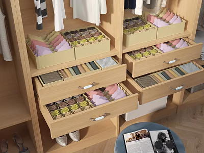 Organized Wooden Wardrobe Drawers For Storing Neat Daily Necessities Like Underwear And Socks 3d model