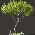 Lush Green Needle Tree With Curved Trunk And Dense Foliage 3d model