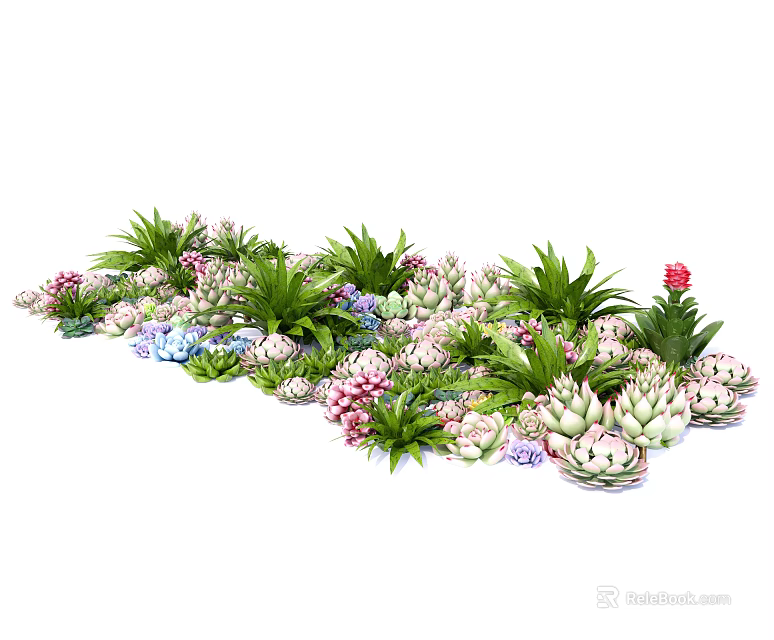 Diverse Succulents with Green Foliage and Colorful Pink Purple Flowers in Garden 3d model 