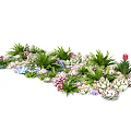 Diverse Succulents with Green Foliage and Colorful Pink Purple Flowers in Garden