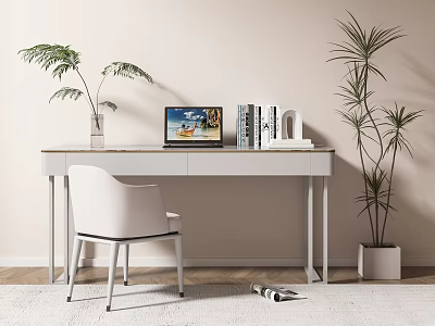 Modern Minimalist Desk With Laptop Books Vase And Potted Plants Near Chair On Rug 3d model