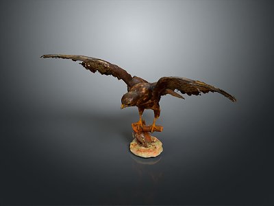 Eagle Large Eagle Owl Raptor Falcon Bird Animal Game Animal 3d model