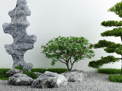 Courtyard Garden Featuring Gray Rock Formations White Wall Pink Flower Tree Pine Tree and Gravel 3d model