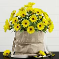 Fresh Yellow Sunflowers in Burlap Sack Vase Against White Brick Wall