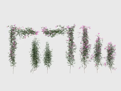 Climbing And Hanging Vines With Pink Flowers And Green Leaves At Various Heights 3d model
