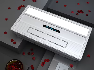 Modern White Bathroom Heater With Digital Display And Rose Petals Around 3d model