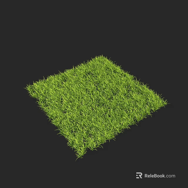 Lush Green Grass Square Mat with Dense Texture on Black Background 3d model