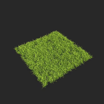 modern grass lawn grass seeds 3d model modern grass lawn grass seeds 3d model