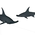Realistic Hammerhead Shark Models With Unique Head Shape And Lifelike Features 3d model