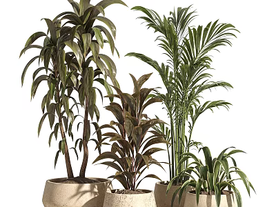 Indoor Decorative Potted Plants With Tropical Green Leaves In Ceramic Planters 3d model