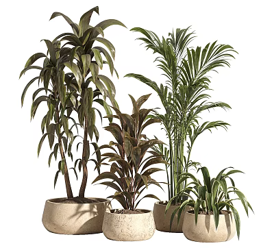 Indoor Decorative Potted Plants With Tropical Green Leaves In Ceramic Planters 3d model