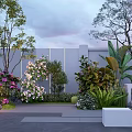 Garden Plant Combination with Various Trees Shrubs Flowers Gray Wall Stone Pavement and White Planters