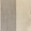Stylish Modern Striped Rug With Black And White Patterns For Home Decor