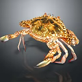 Colorful Spotted Crab With Patterned Shell And Large Claws As Aquatic Marine Creature