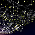 Outdoor Decorative String Lights With Yellow LED Bulbs For Garden Party Decoration