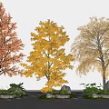 arbor ginkgo tree autumn landscape tree maple stone micro terrain 3d model