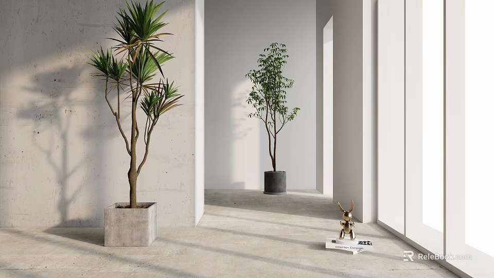 Indoor Potted Plants In Modern Minimalist Room With Concrete Black Pots And Natural Light 3d model 
