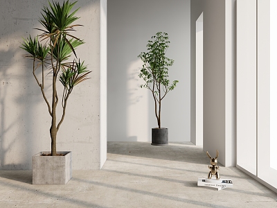 Modern Potted Simple Plant model