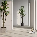 Modern Potted Simple Plant 3d model