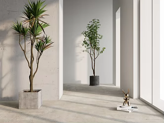 Modern Potted Simple Plant 3d model
