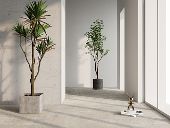 Modern Potted Simple Plant 3d model