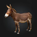 Brown Donkey Standing Against Dark Background With White Hooves And Nose 3d model