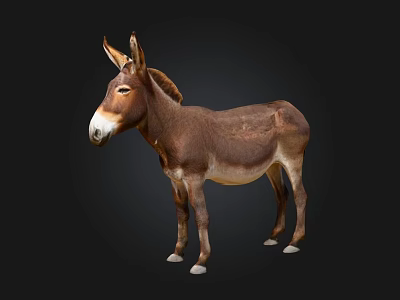 mule donkey horse animal 3d model