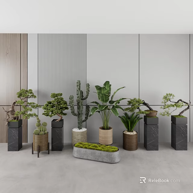 Modern Indoor Bonsai Potted Plants With Different Types And Decorative Containers Arrangement 3d model 