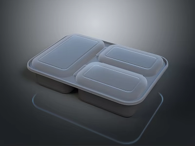 Three Compartment Food Storage Container With Secure Lid For Meal Organization 3d model
