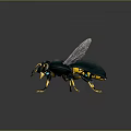 Detailed 3D Rendered Mechanical Insect With Green Body Yellow Legs And Transparent Wings