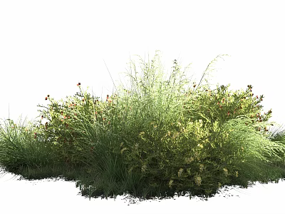 Lush Green Shrubs with Ornamental Grasses and Colorful Blooms in Landscape 3d model