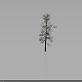 Isolated Tree with Brown Trunk and Green Leaves on Gray Background 3d model