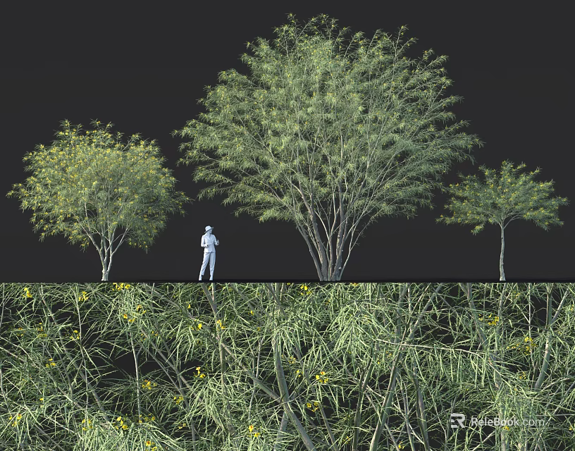 Various Sizes of Lush Green Bushes with Person Standing by Dark Background and Yellow Flowers 3d model 