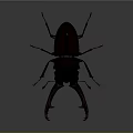 Stag Beetle With Large Mandibles And Dark Body On Dark Background