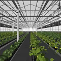 Industrial Plant Interior Design With Rows Of Green Plants Metal Frame And Ceiling Lights