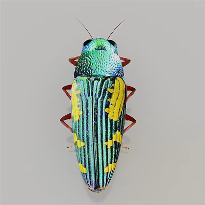 Colorful Flying Beetle with Iridescent Green Body Yellow Spots And Red Legs 3d model